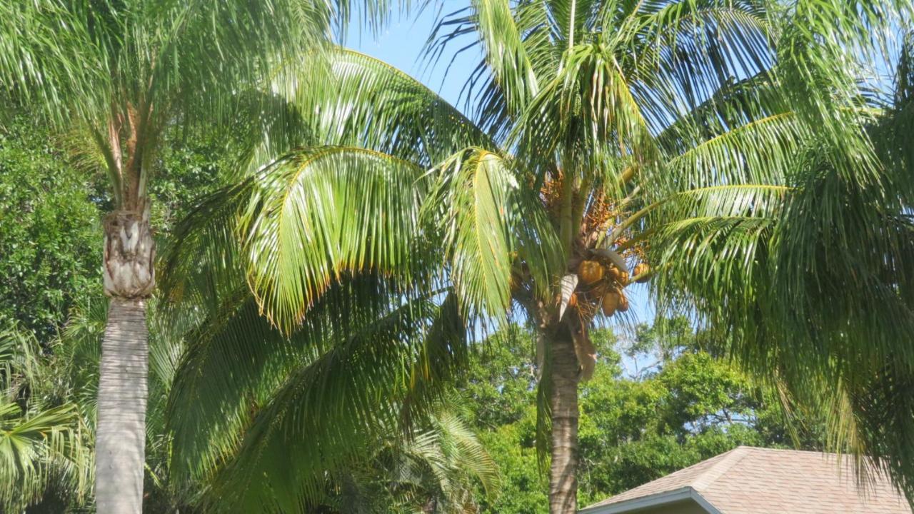 Luxury 3-Bedroom Home Near Beaches With Pool Vero Beach Exterior photo